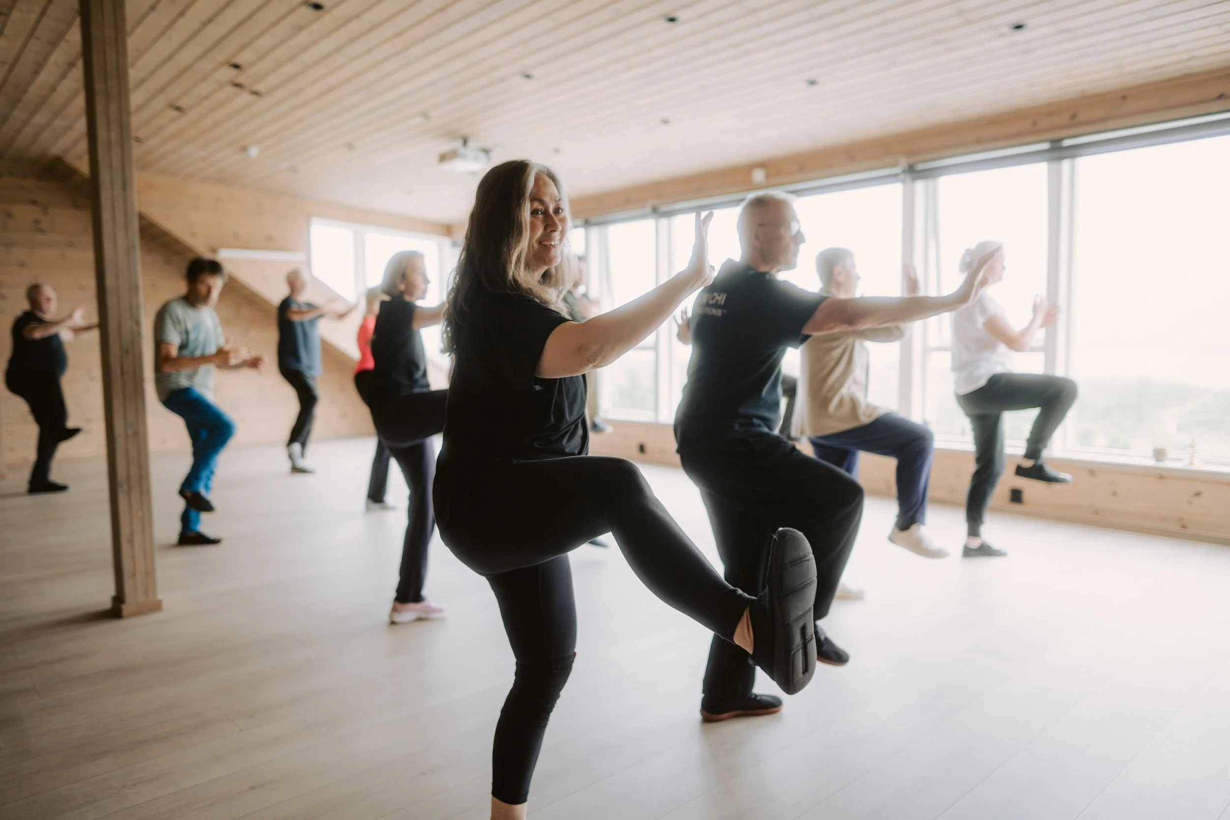 Introduction to Tai Chi Grammar with Ann Danaiya Usher