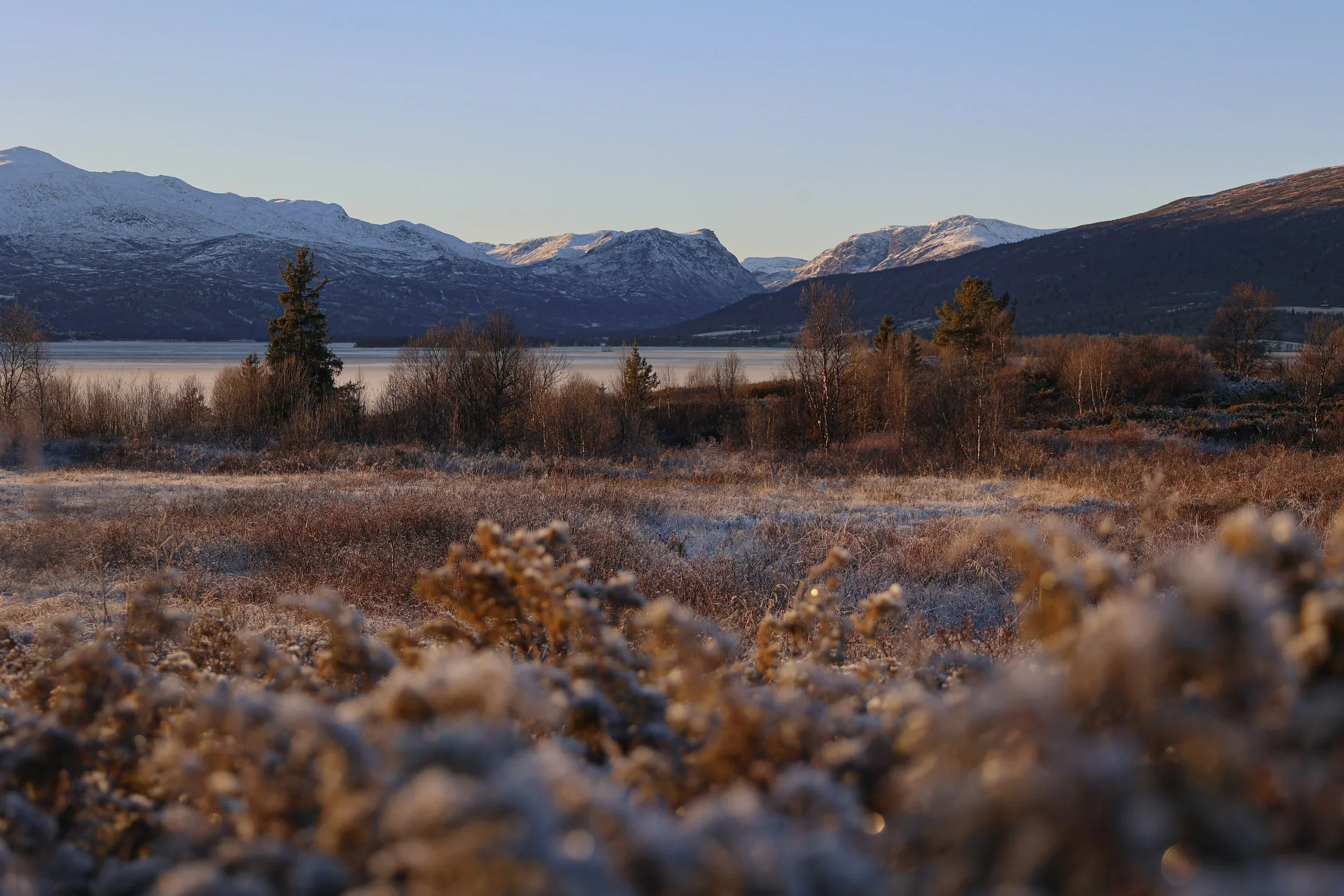 Yoga Retreat with Inger Lise Roed.webp