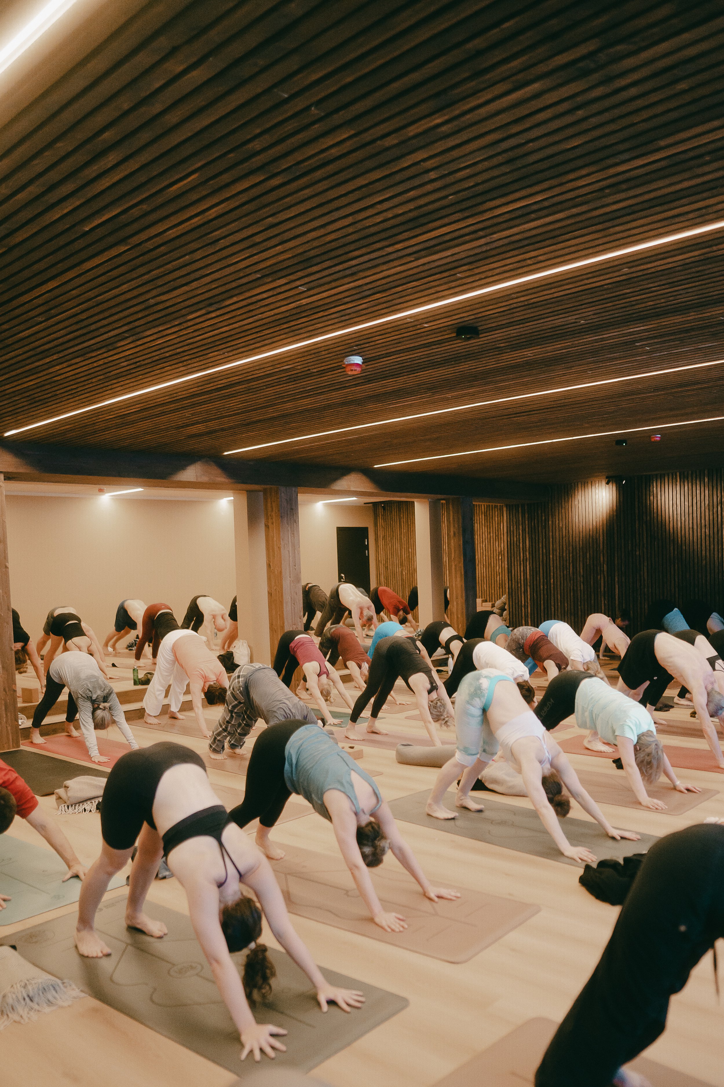 Sun Salutation 2026 (3).jpg