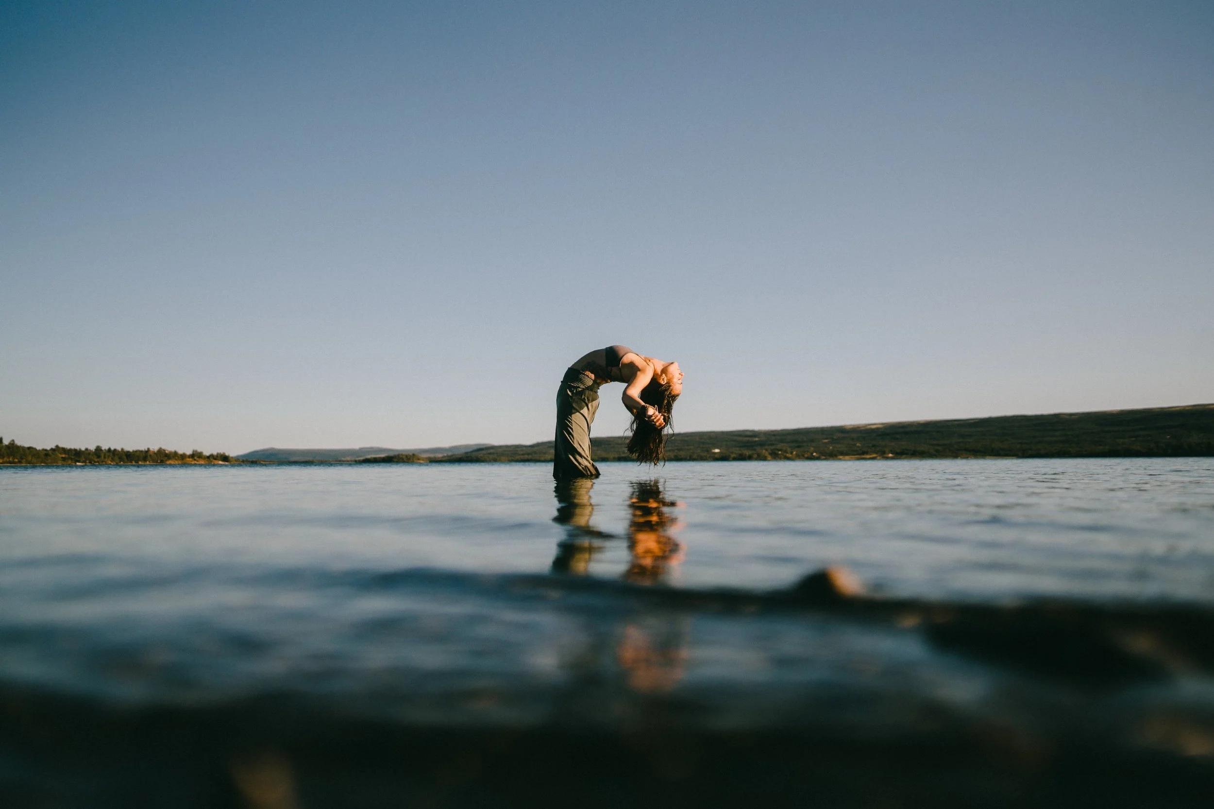 Reset: Where You Began with Irene Algar