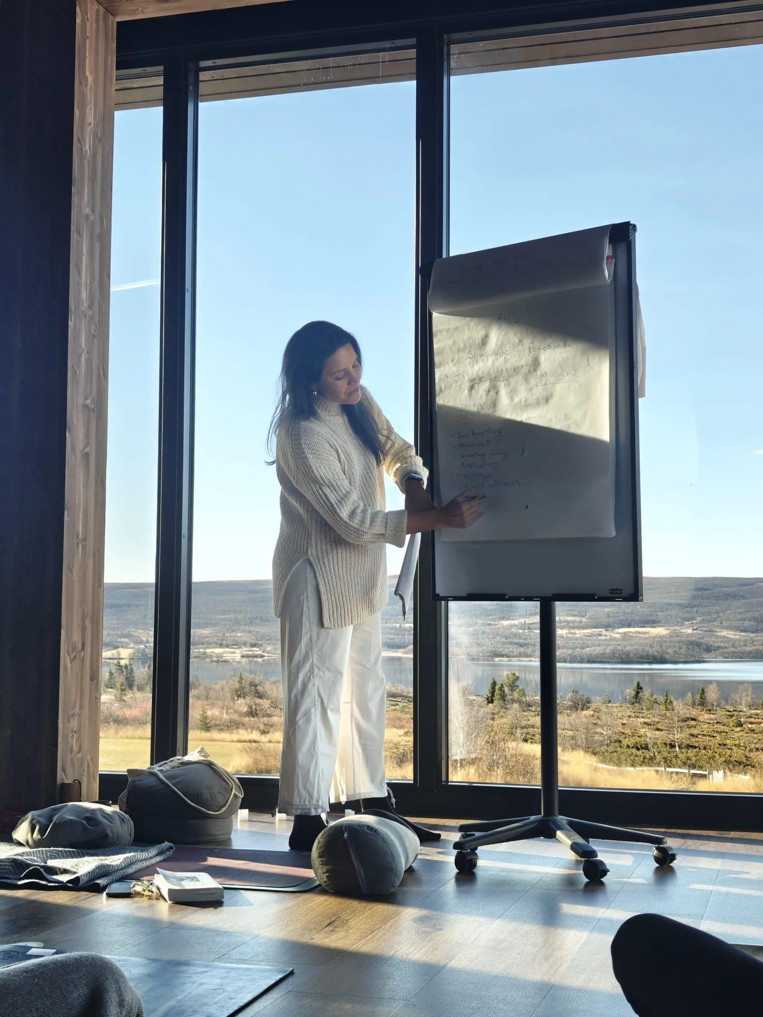 Nosen stress workshop.jpeg