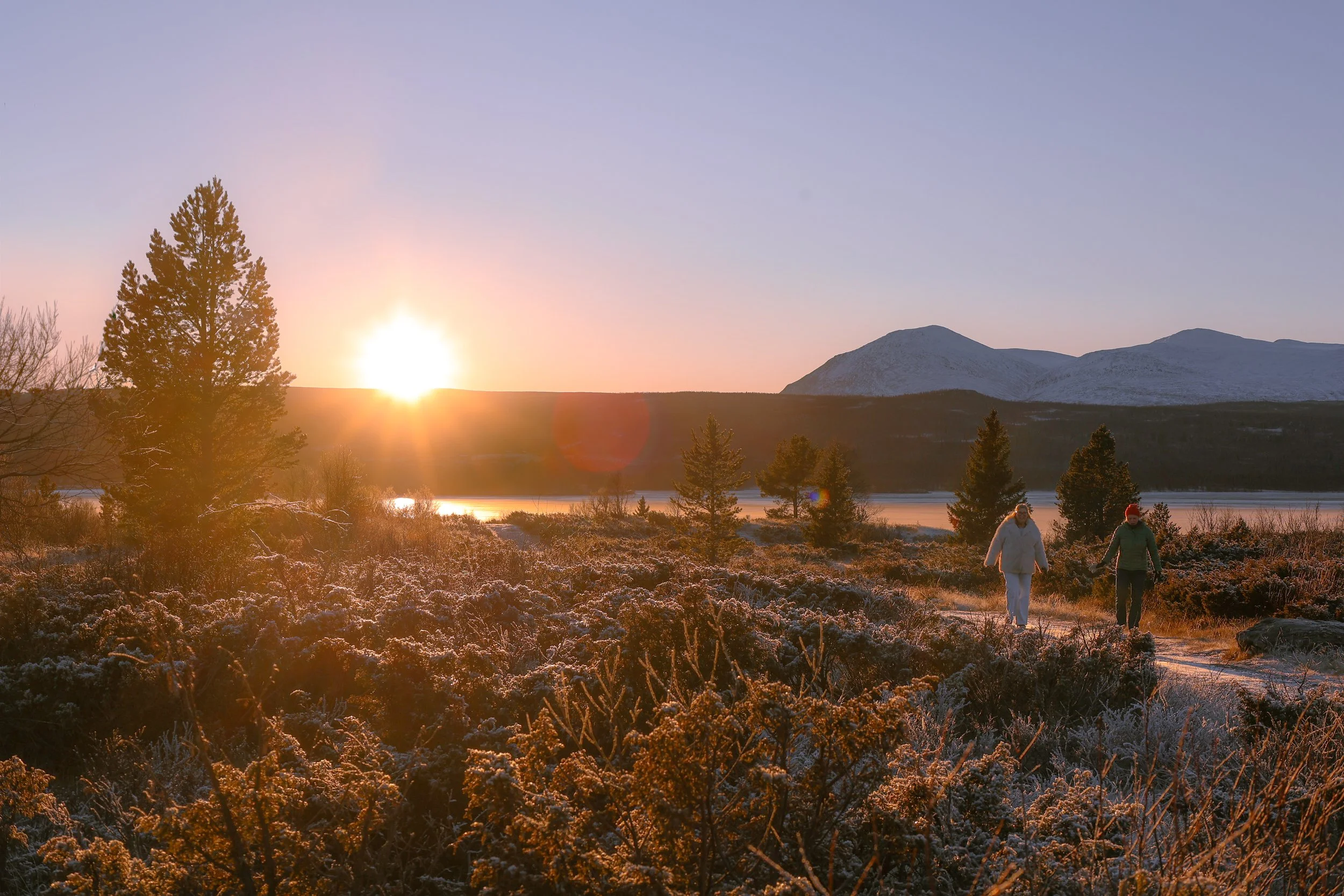 Tai Chi Grammar II - with Ann Danaiya Usher