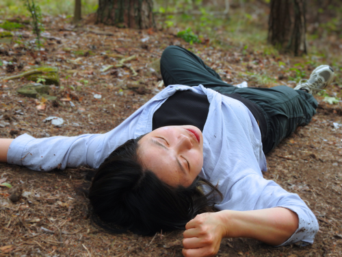 compressed_Forest+dance+3.webp