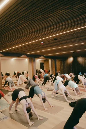 Sun+Salutation+2026+(3) (1).webp