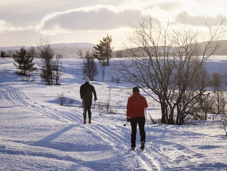 Forsidebilde ski og yoga.jpg