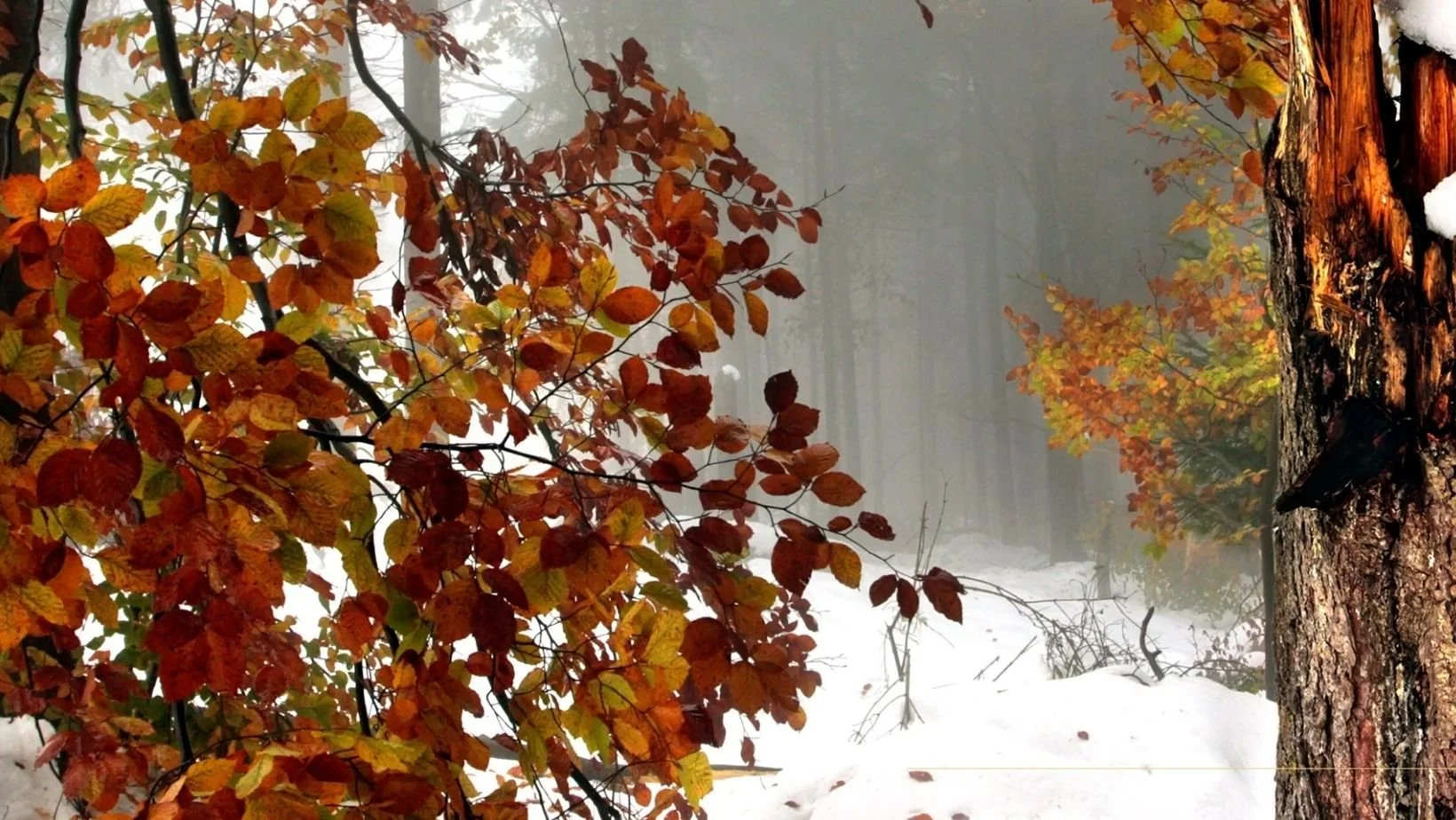 Facebook Cover (38).jpg