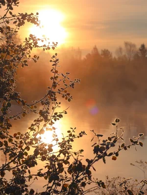 2K7A9996.webp