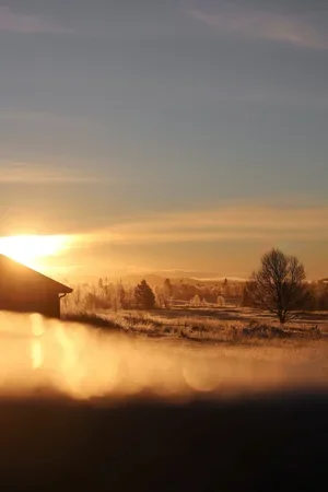 2K7A1212+(1).webp