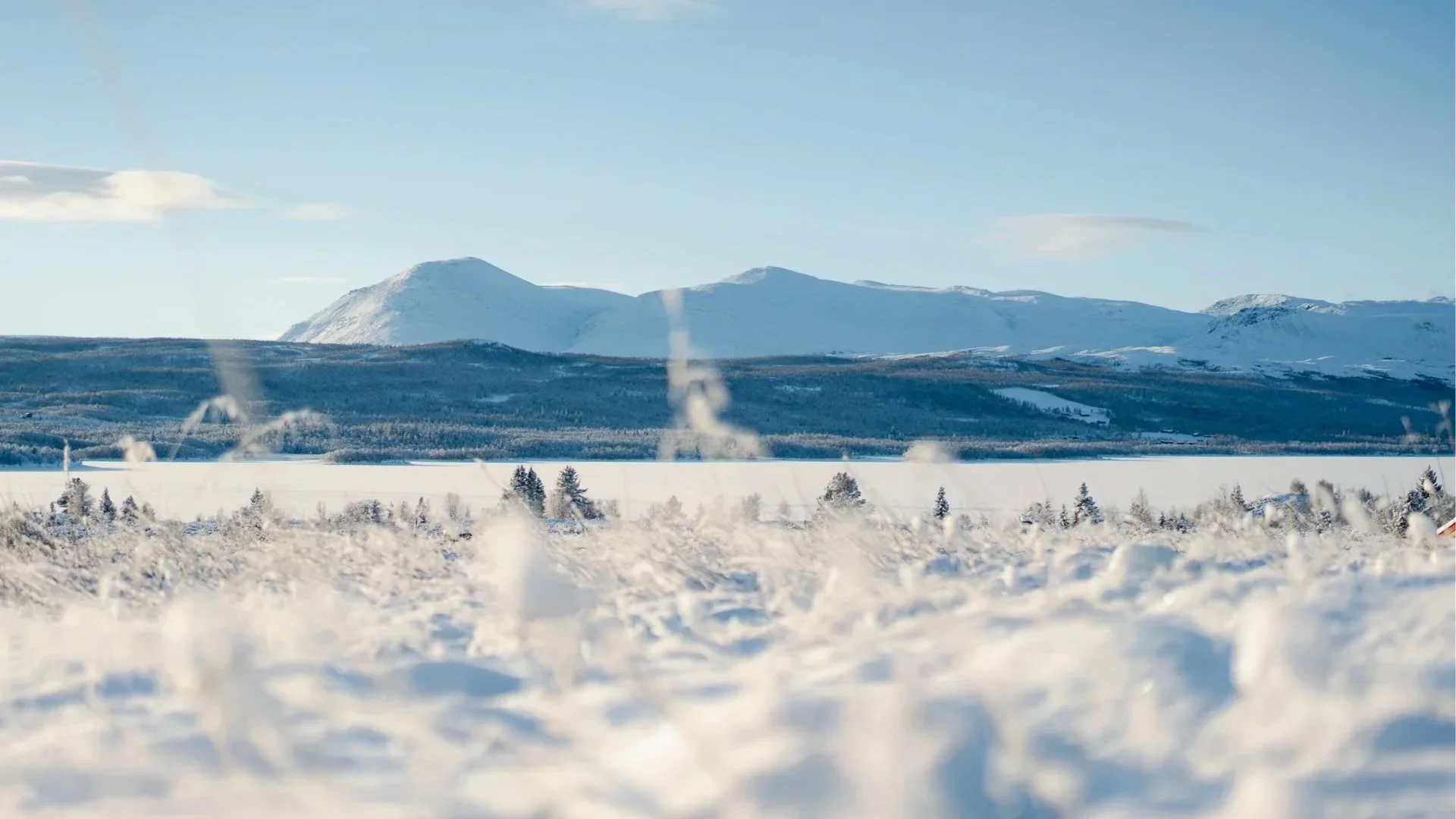 NøsenCabin-20211130-_DSC4762.webp