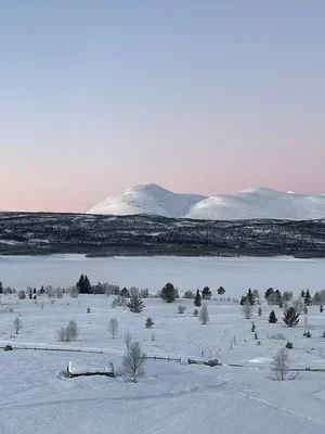 rosa+fjell+nøsen.webp