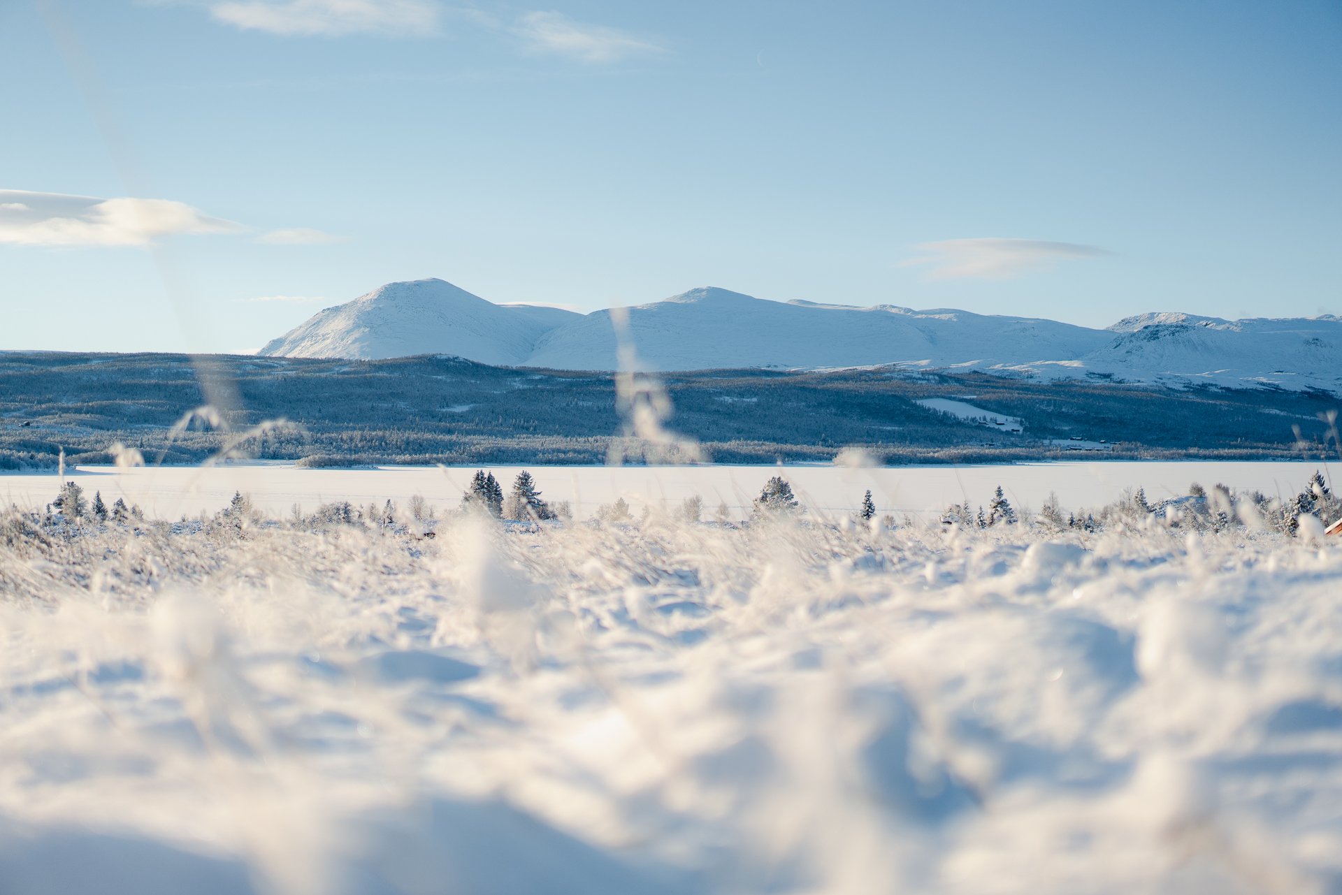 NøsenCabin-20211130-_DSC4762.jpg