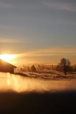 2K7A1212+(1).webp
