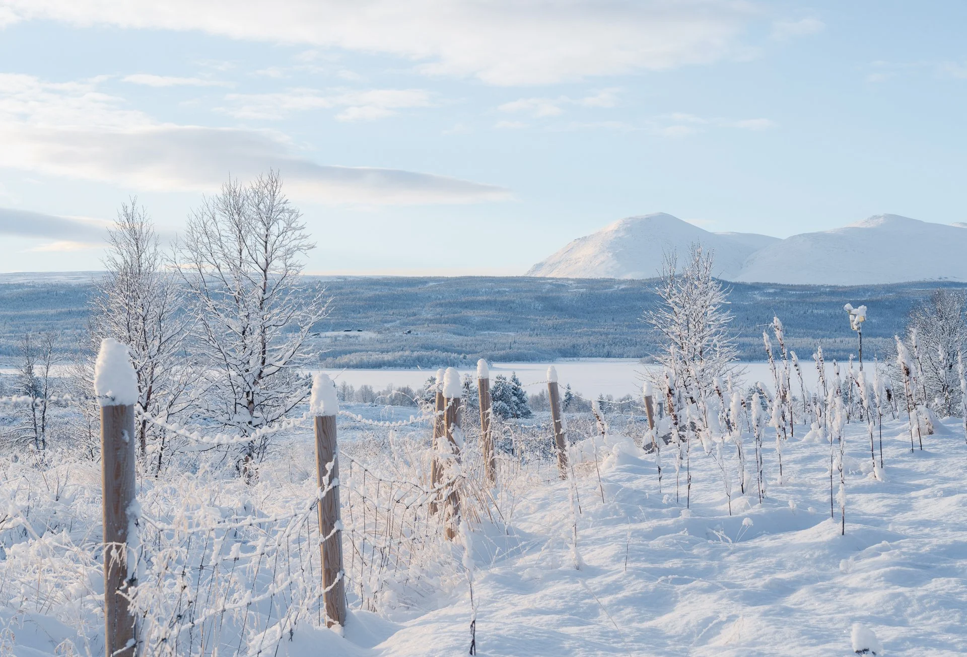 NøsenCabin-20211130-_DSC4480.jpg