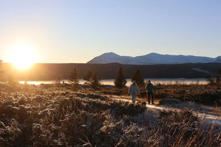 Soul Search - a way into the heart - with Daniel Gjerde Kolmannskog &amp; Adriana Bueno Wiborg