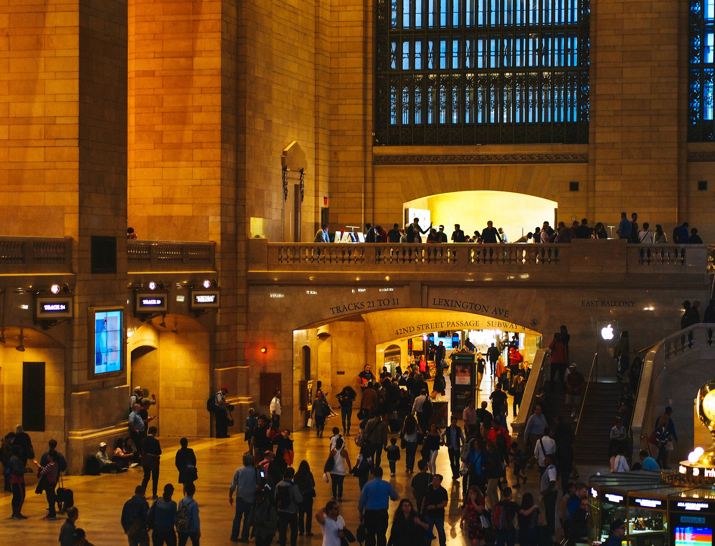 P8310746-2.jpg