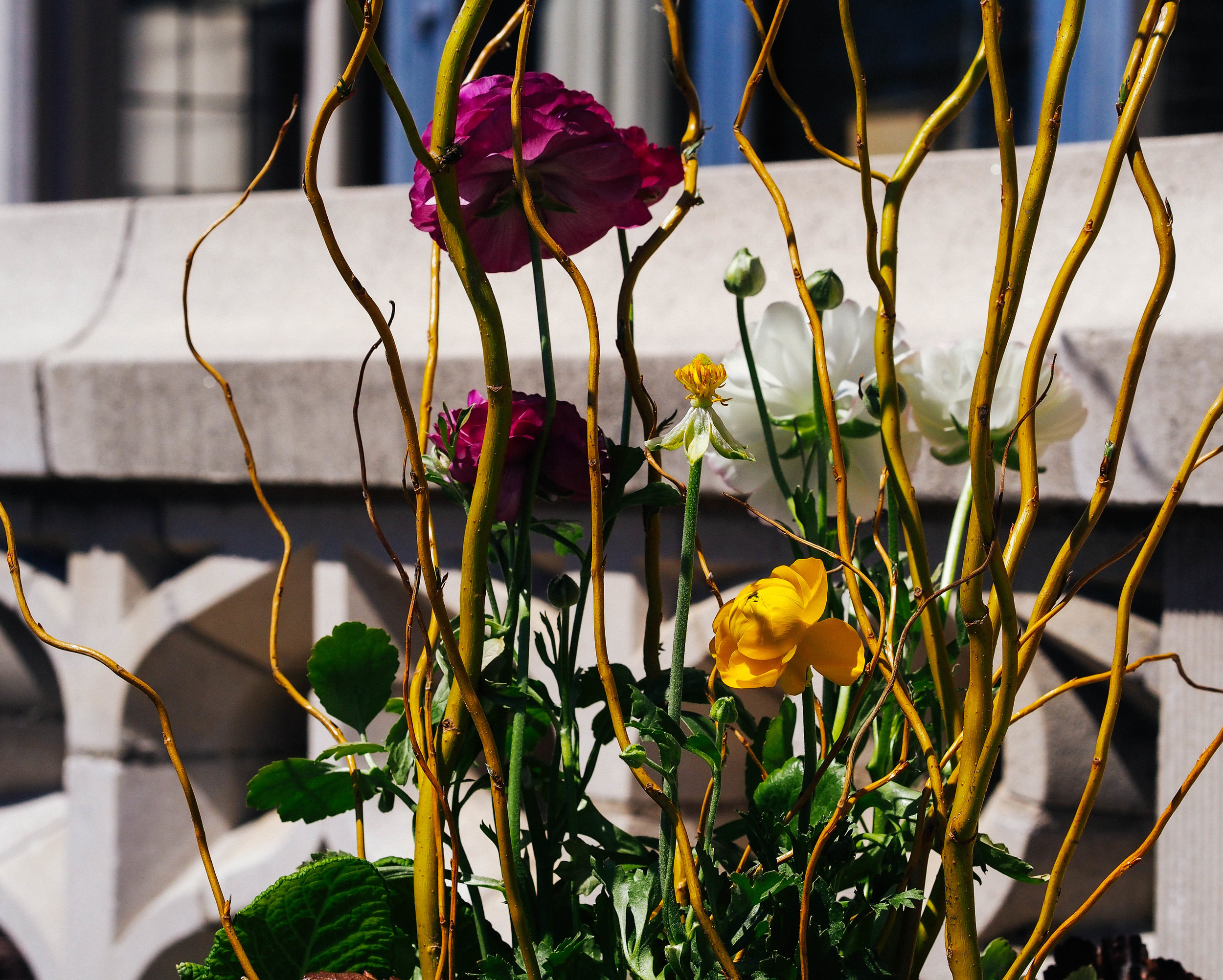 P1011519.jpg