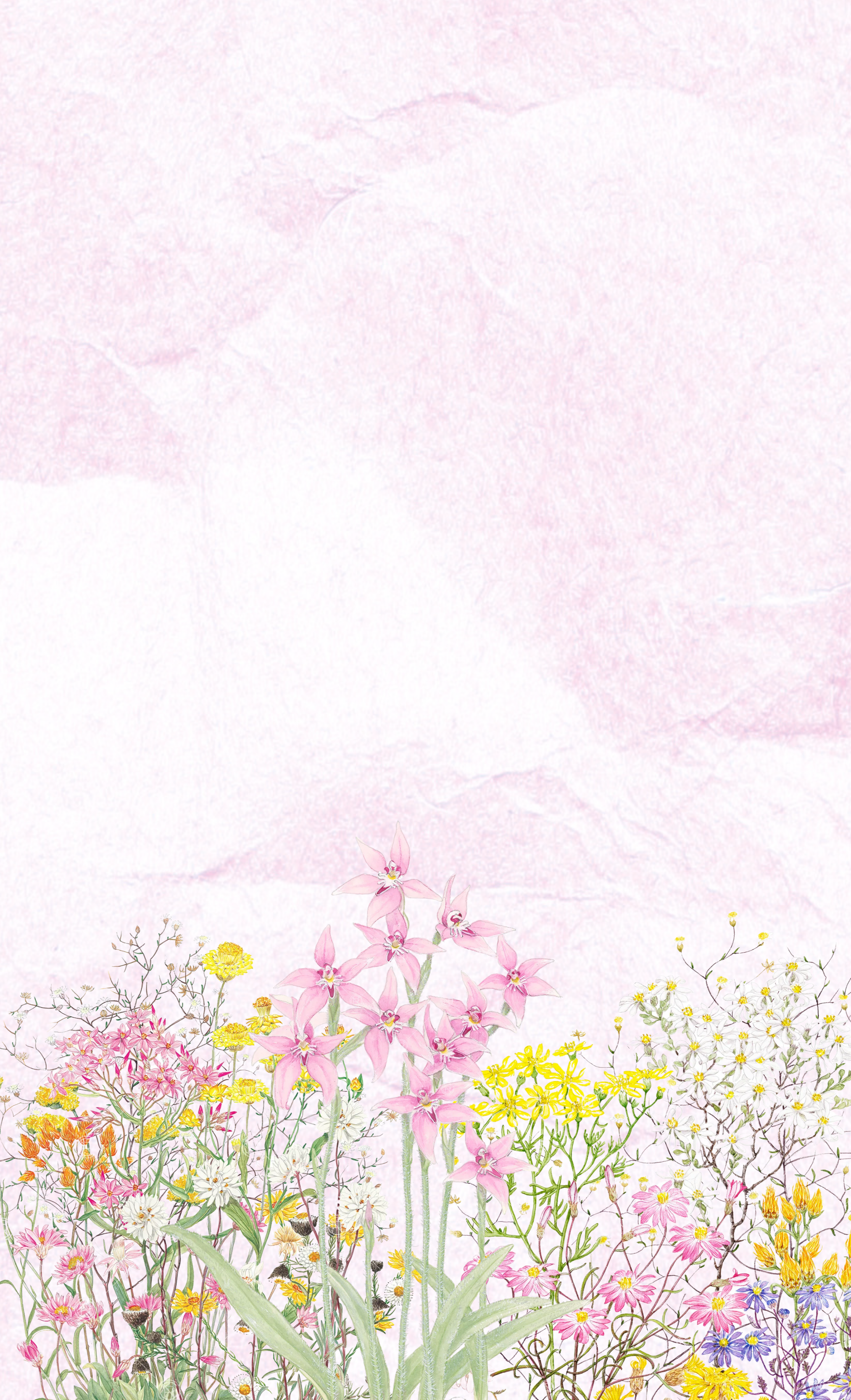 Untitled+design.png