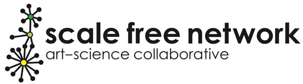 Copyright, Scale Free network, 2016.