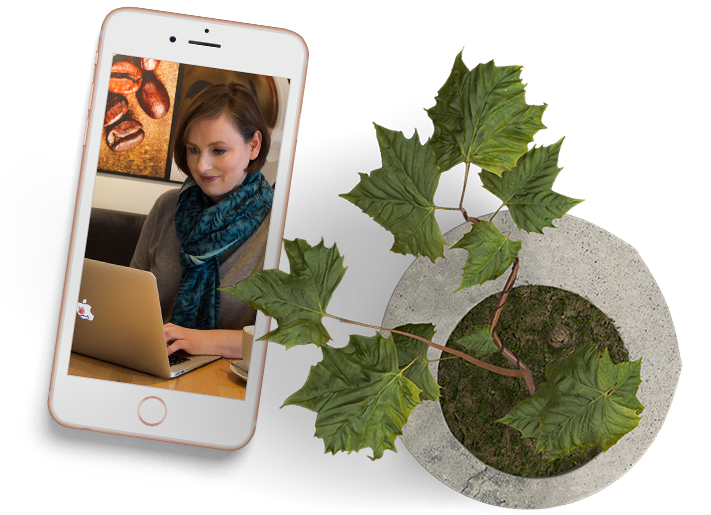 iPhone-Pflanze.png
