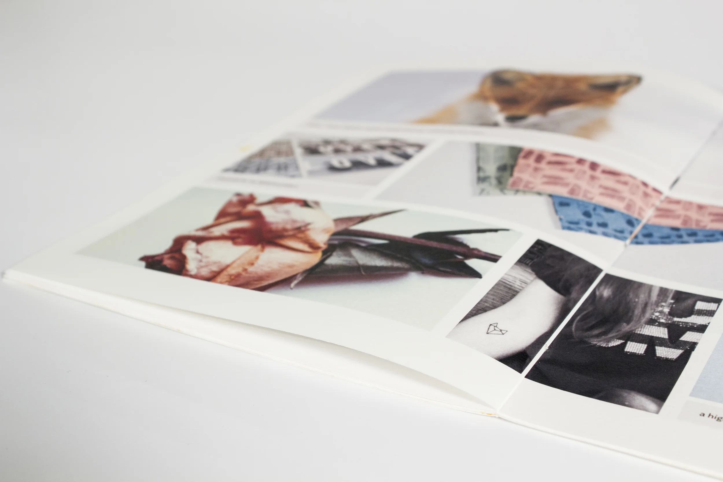 analogue blog_13.jpg