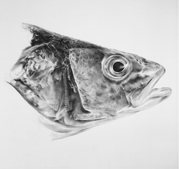 ...what you can create with graphite powder
