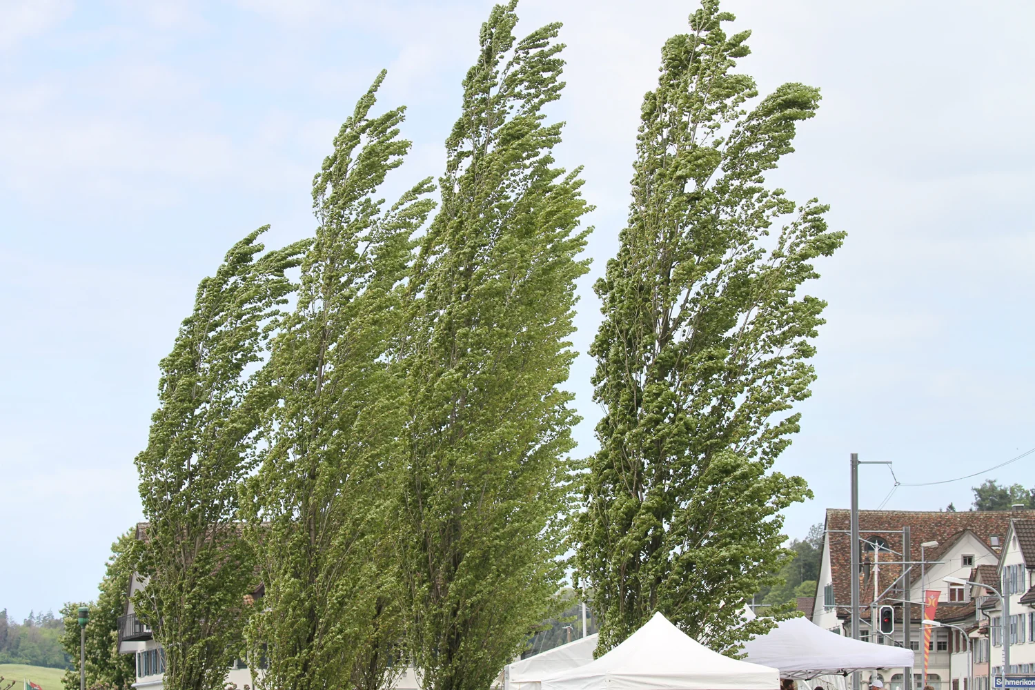 RCT_Schmerikon_2017_005.jpg
