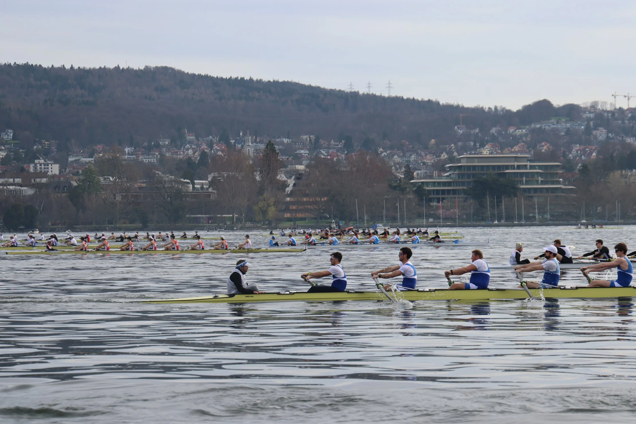 Die Thalwiler Langstreckenregatta steht vor der Tür 