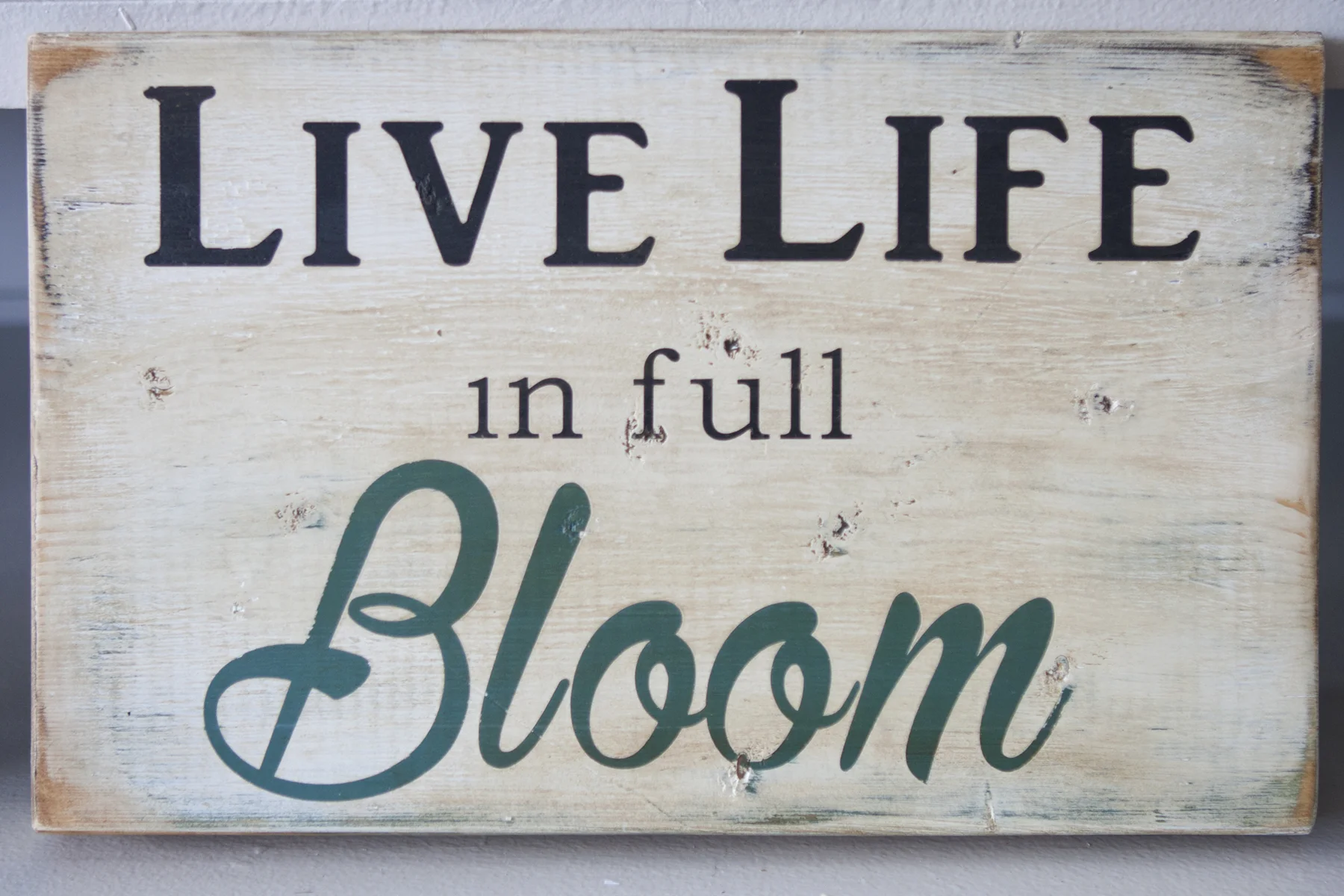 bloom_6804.jpg