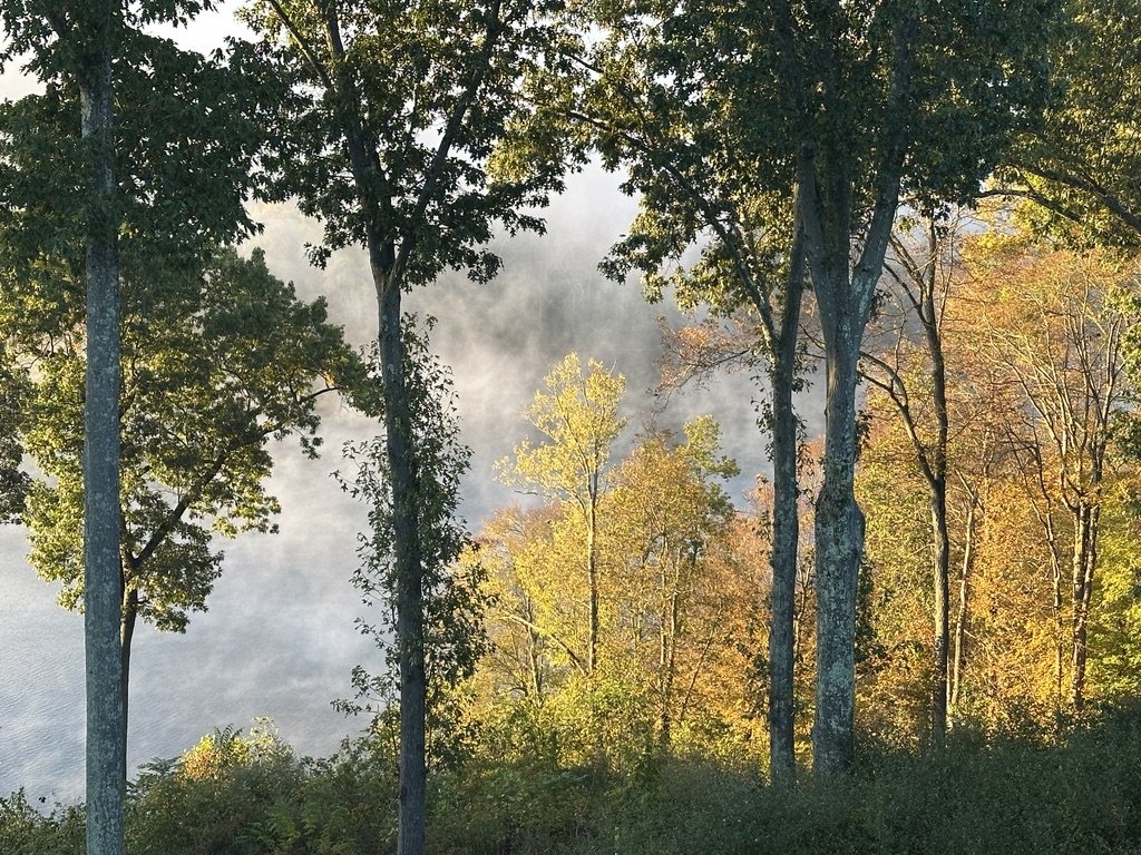 Fall Foliage Knitting Retreat, Salt Fork Lodge Oct 21-24