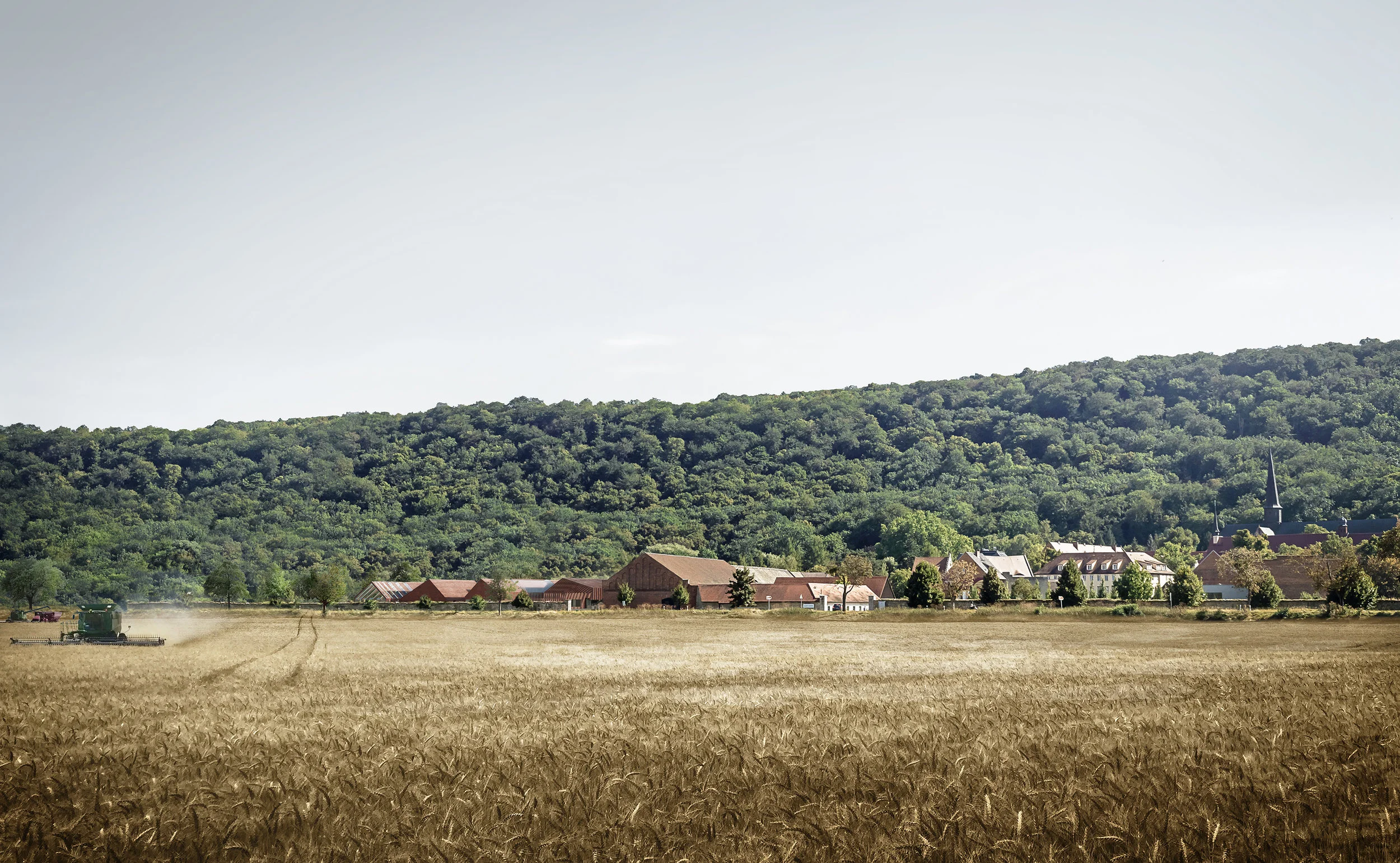 © Janusch - a visual collective | http://www.janusch.co