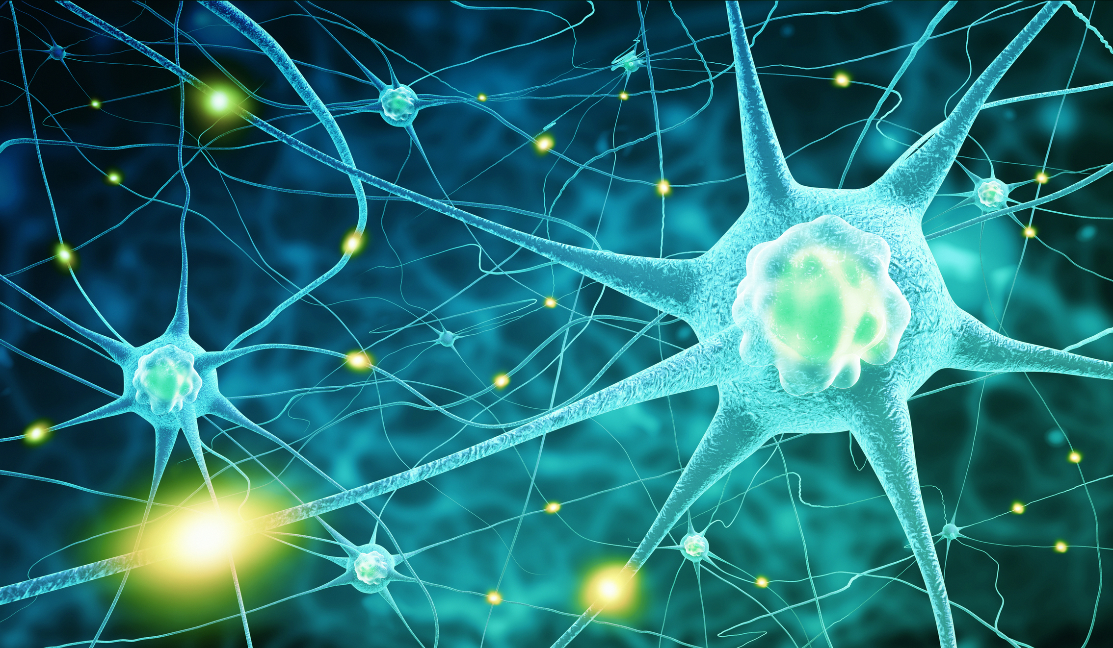Photo by cosmin4000/iStock / Getty Images ZUM THEMA NEOPLASTIZITÄT DES GEHRINS 