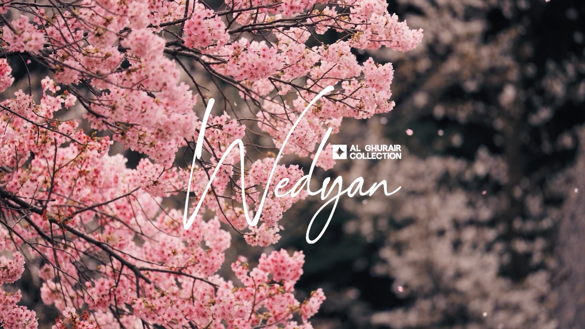 Wedyan Mobile HERO_1.jpg