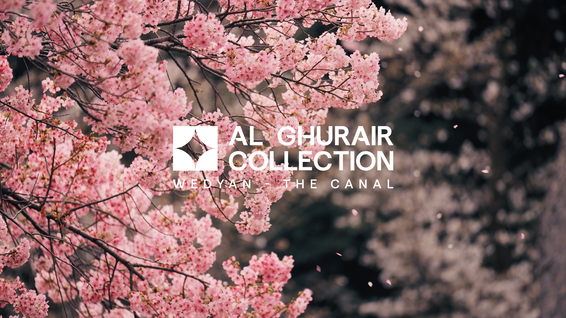 Wedyan Mobile HERO_4.png