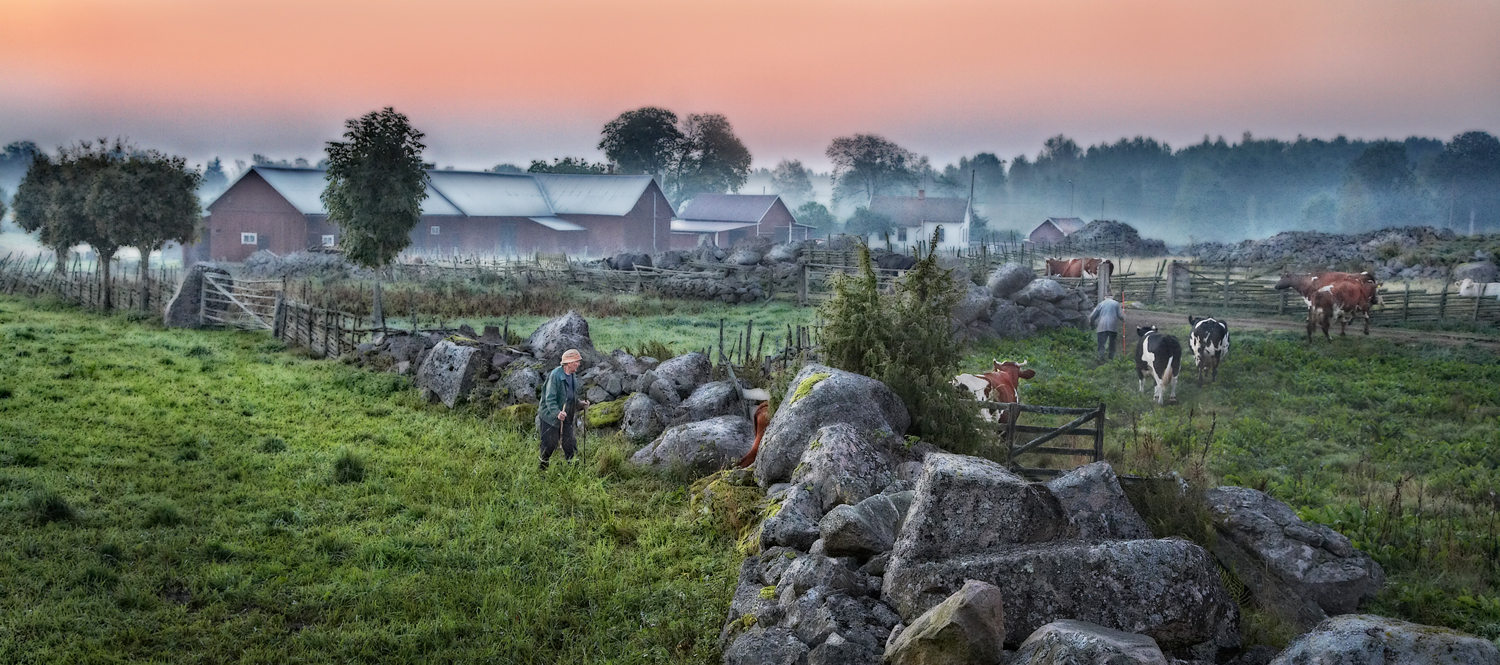 IMG_6019 Kor-in-gryning-pan-On-100-Mb-Glow-HDR-OK-1500px-KN2.jpg