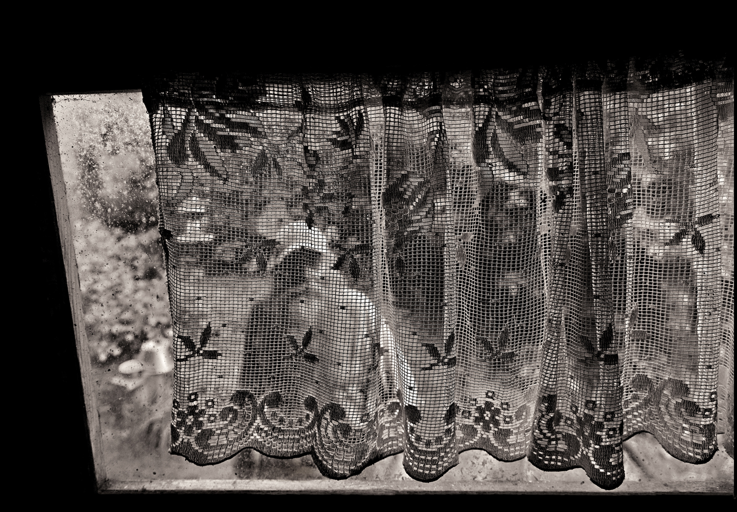 _N3C4337-SA-genom-gardin-Farstu-BW-KN.jpg
