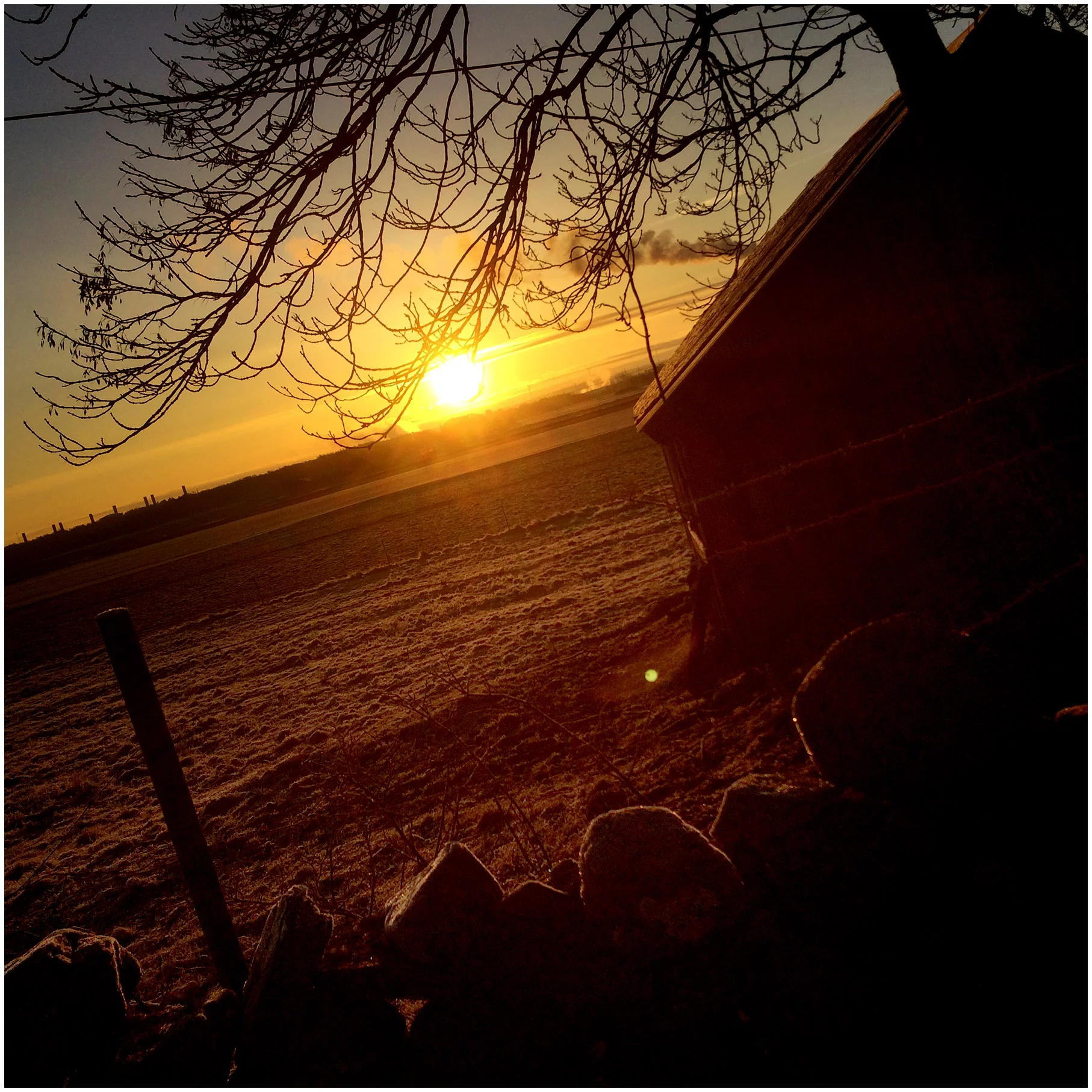 blogg-160301morgonsol.jpg