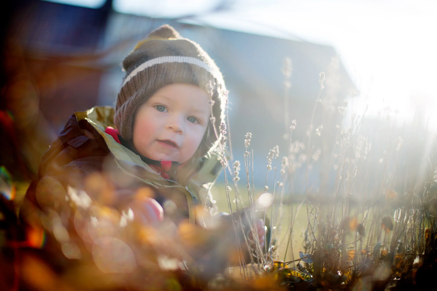 blogg-160229bertiltradgarden2.jpg