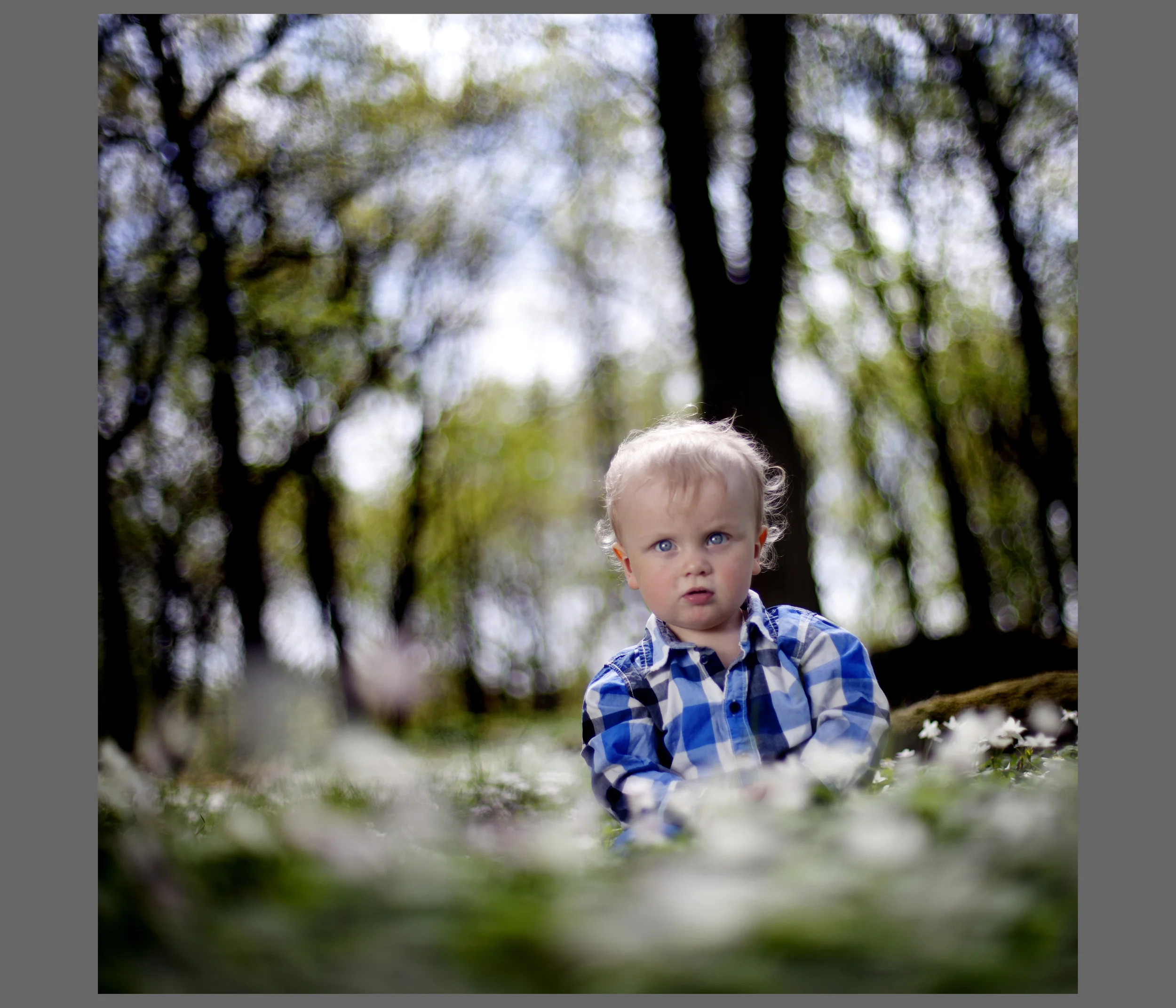 130517vidaralmer7025.jpg