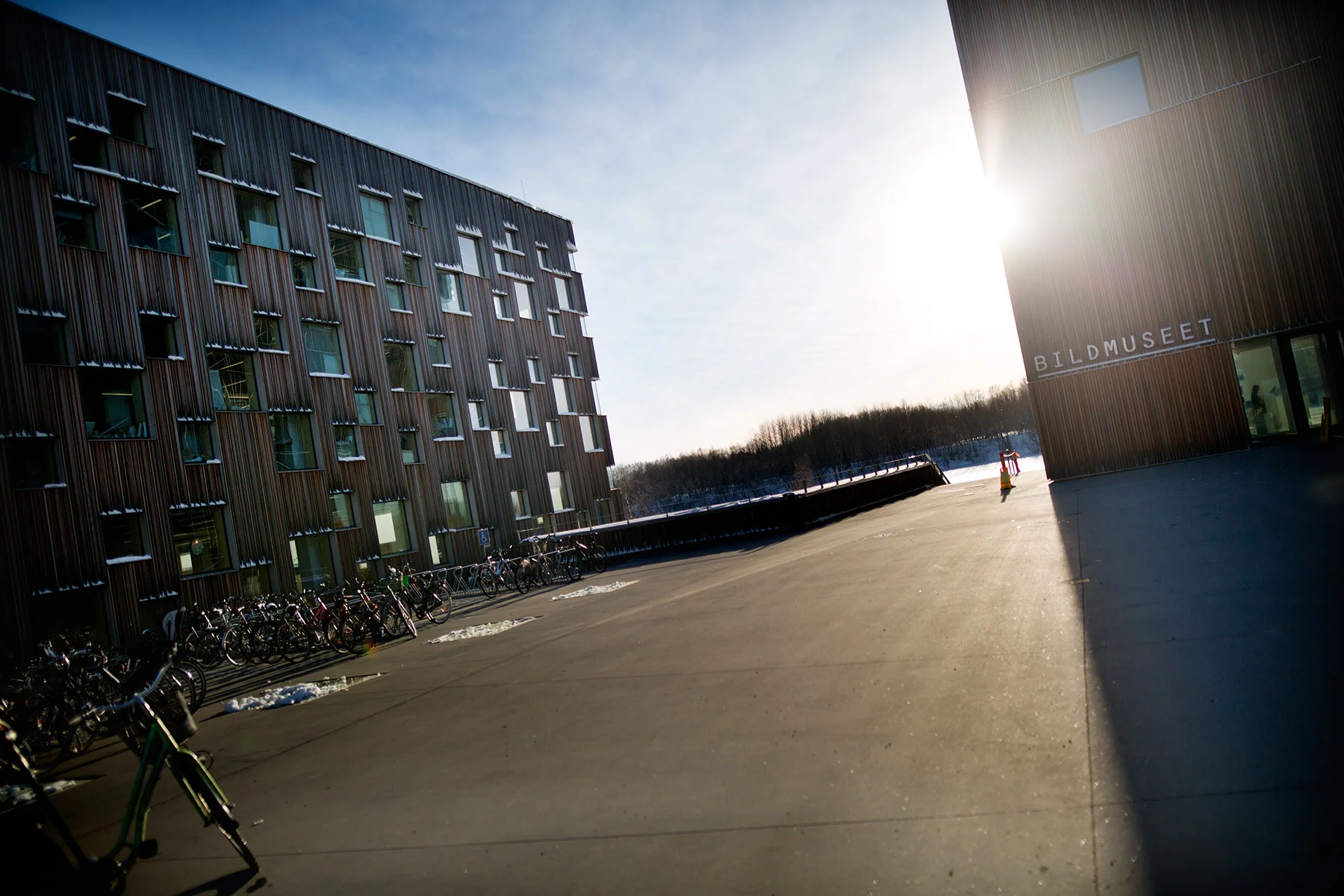 blogg-160216tillumea8.jpg