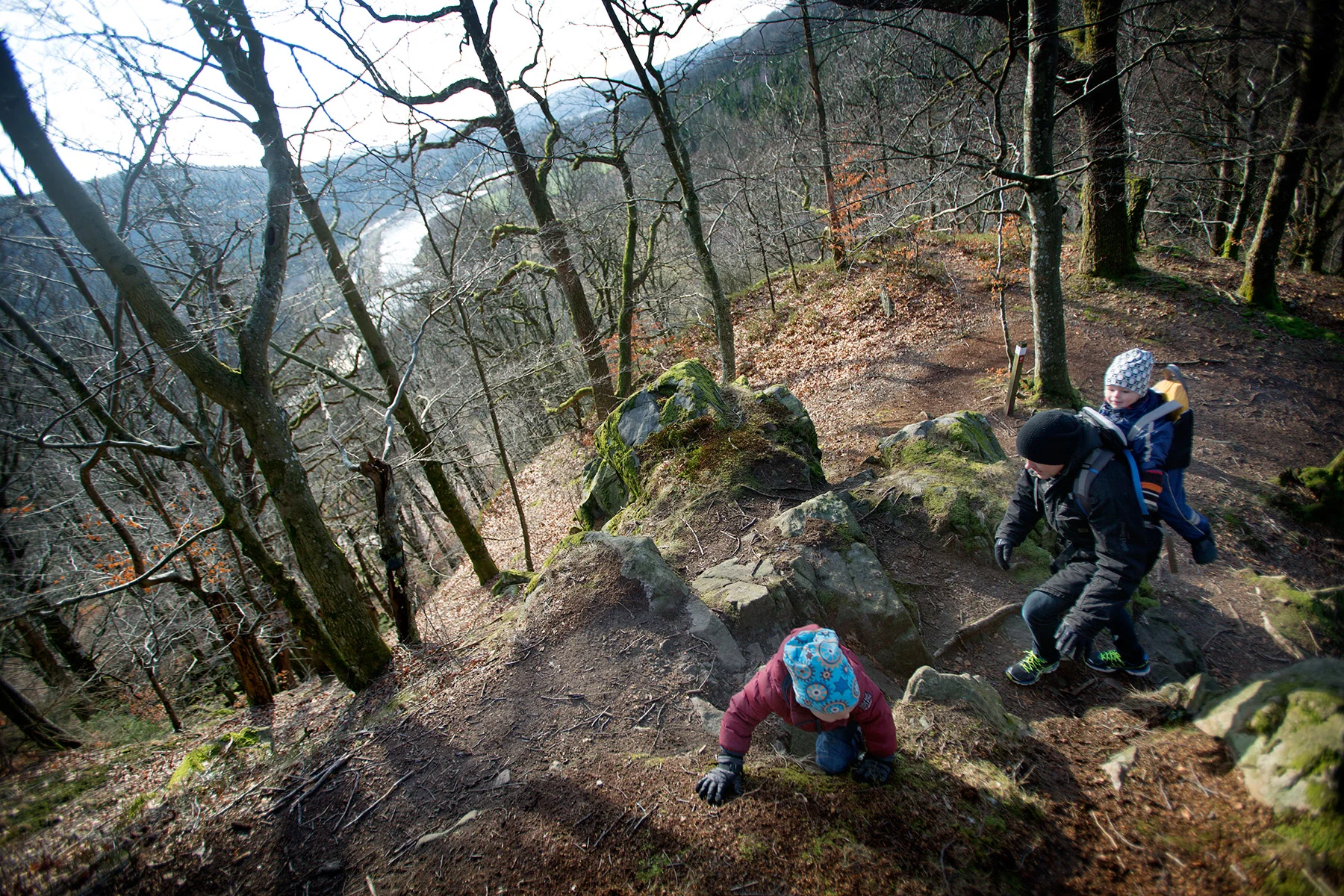 blogg-160214hiaklitten1.jpg