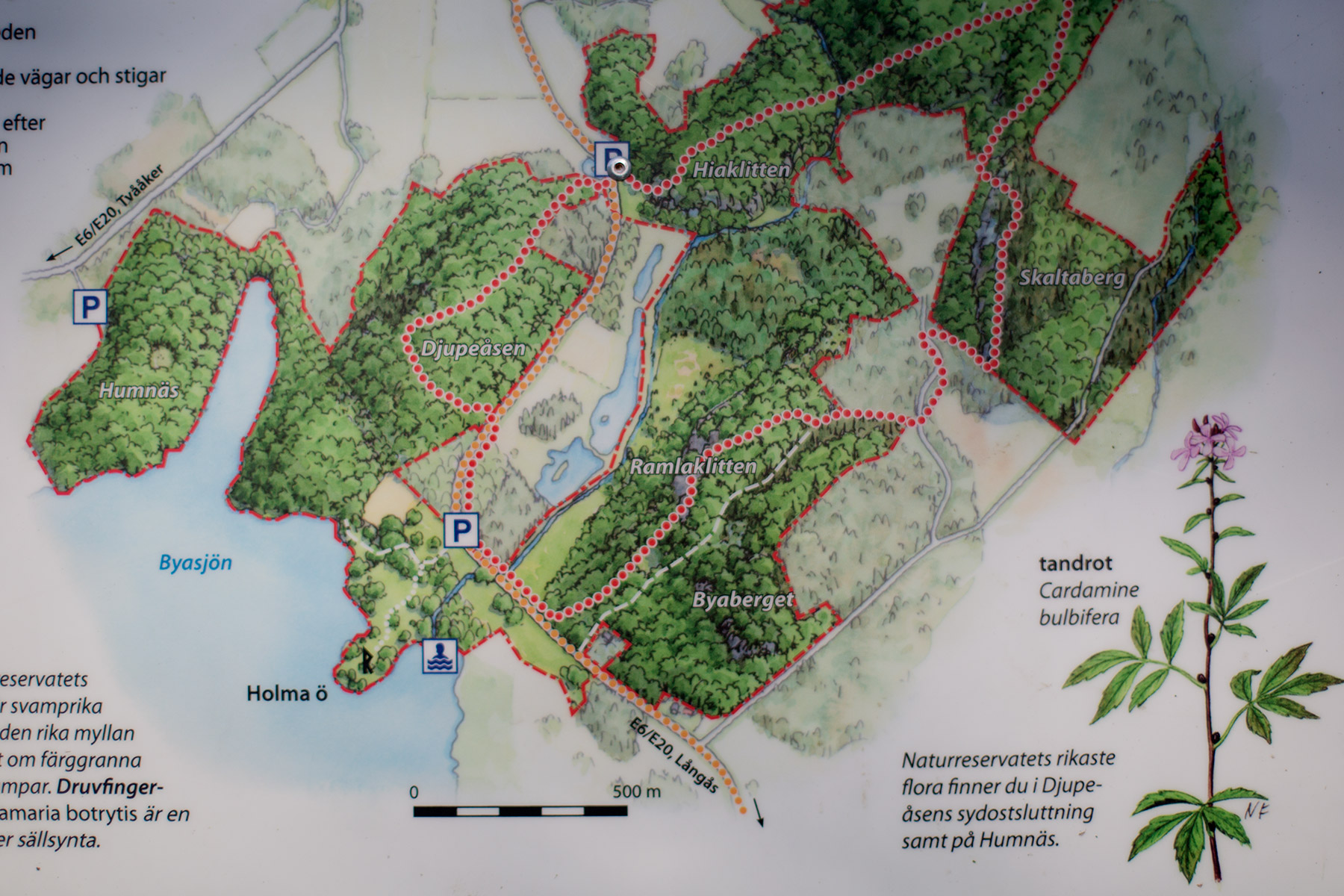 blogg-160214hiaklitten16.jpg