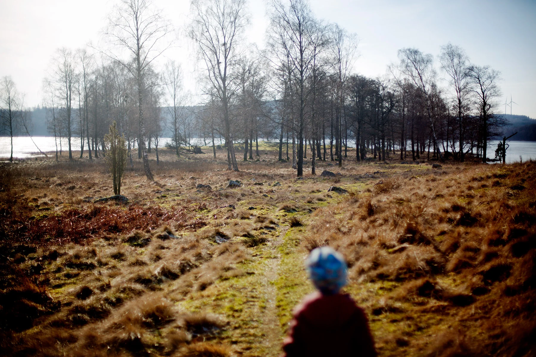 blogg-160214hiaklitten20.jpg