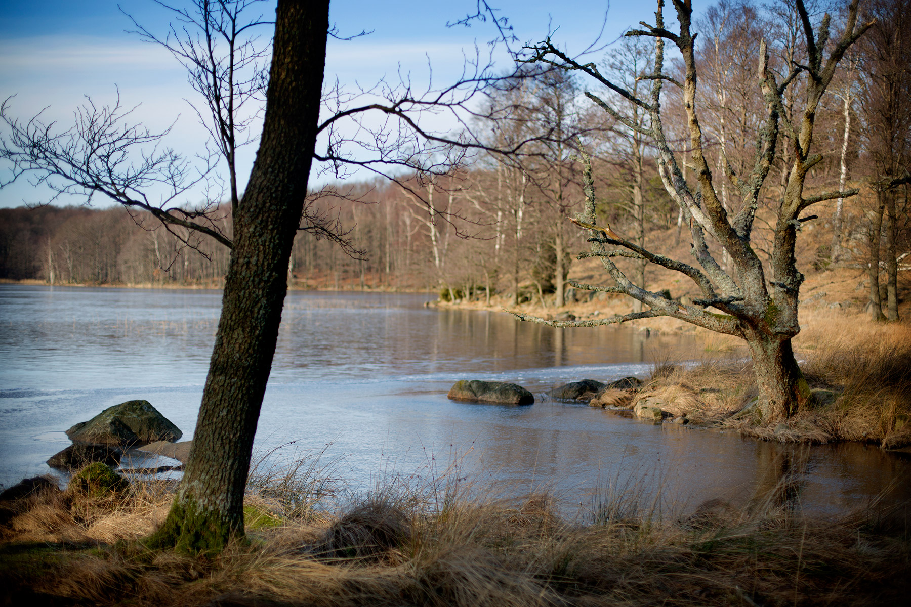 blogg-160214hiaklitten25.jpg