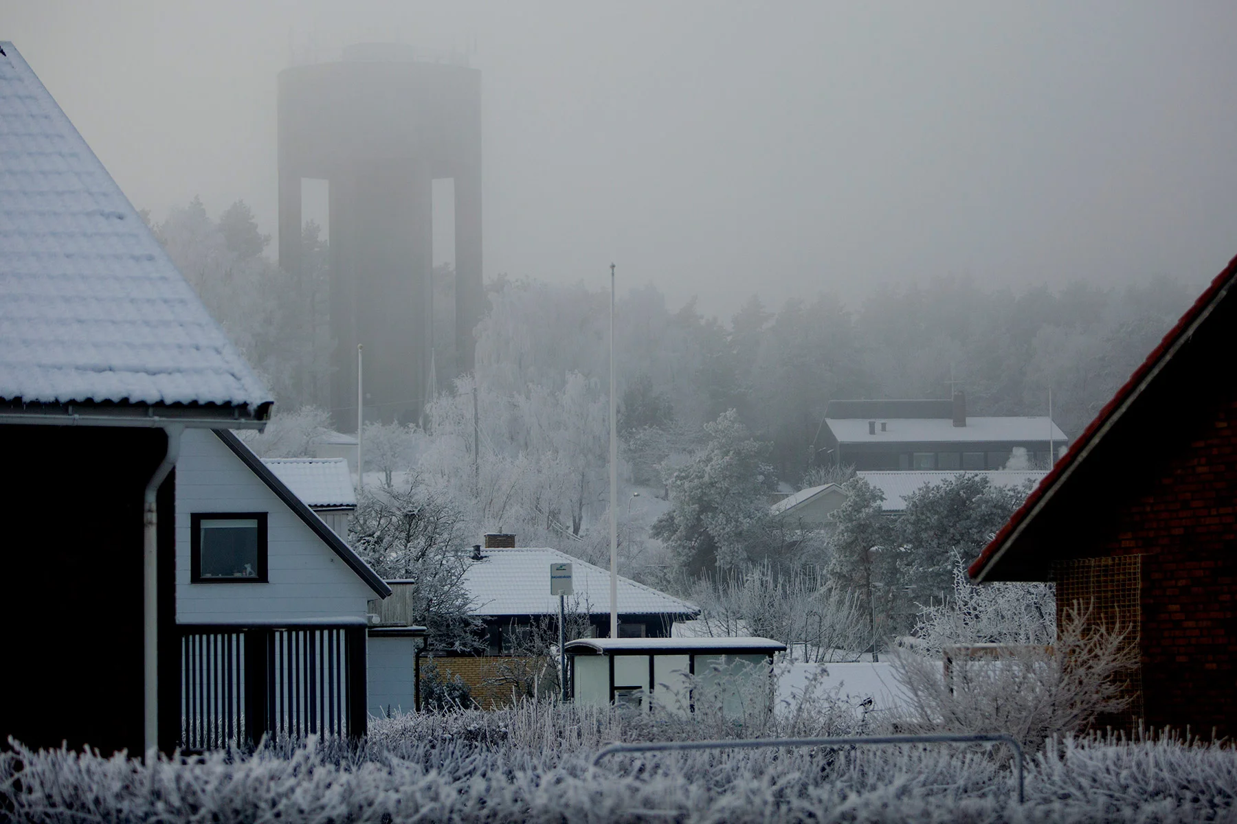 Blötfrost