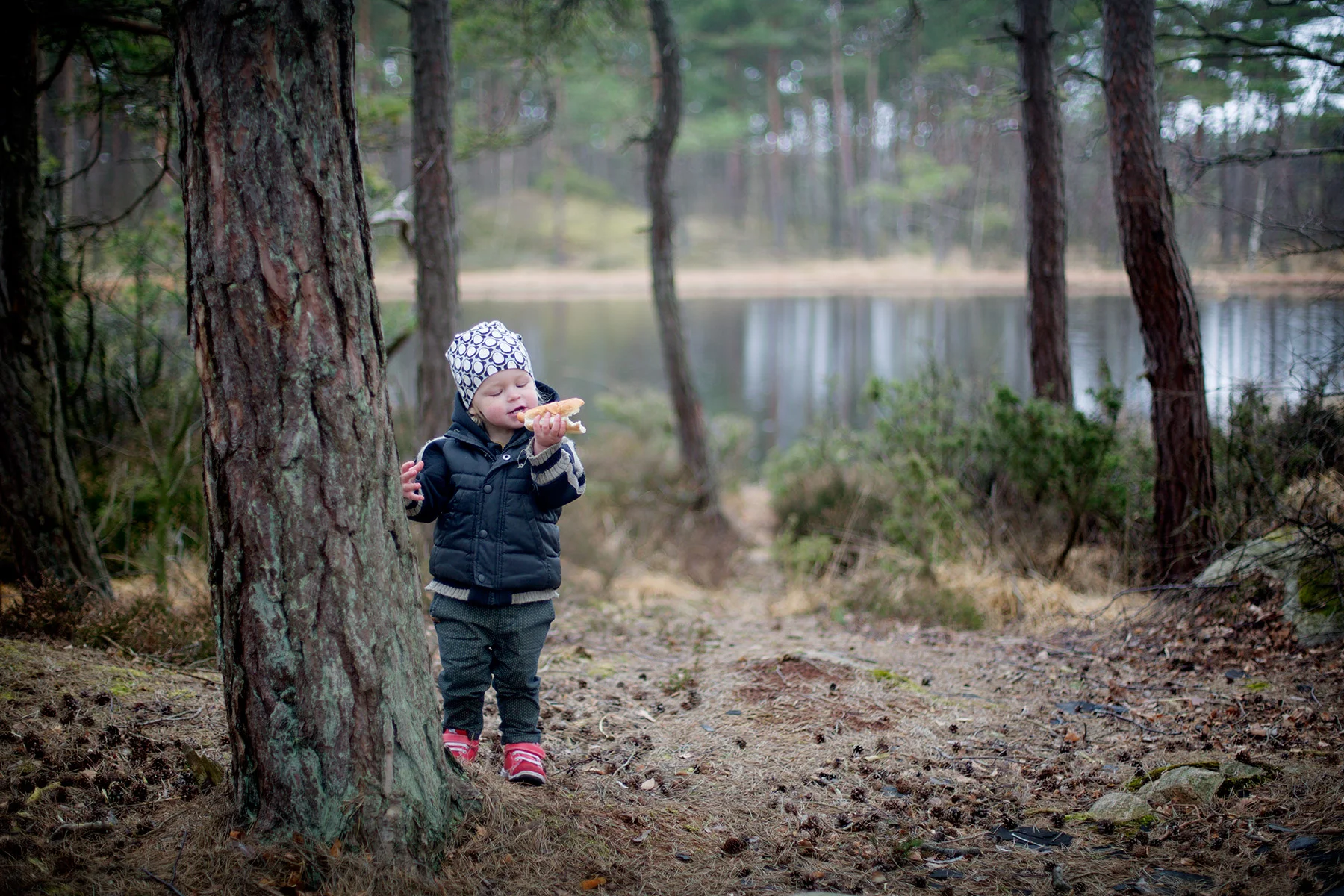 blogg-160403vindskyddet13.jpg