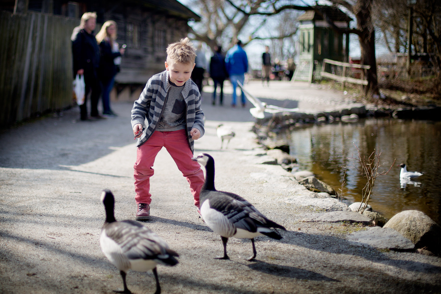 blogg-160410skansen15.jpg