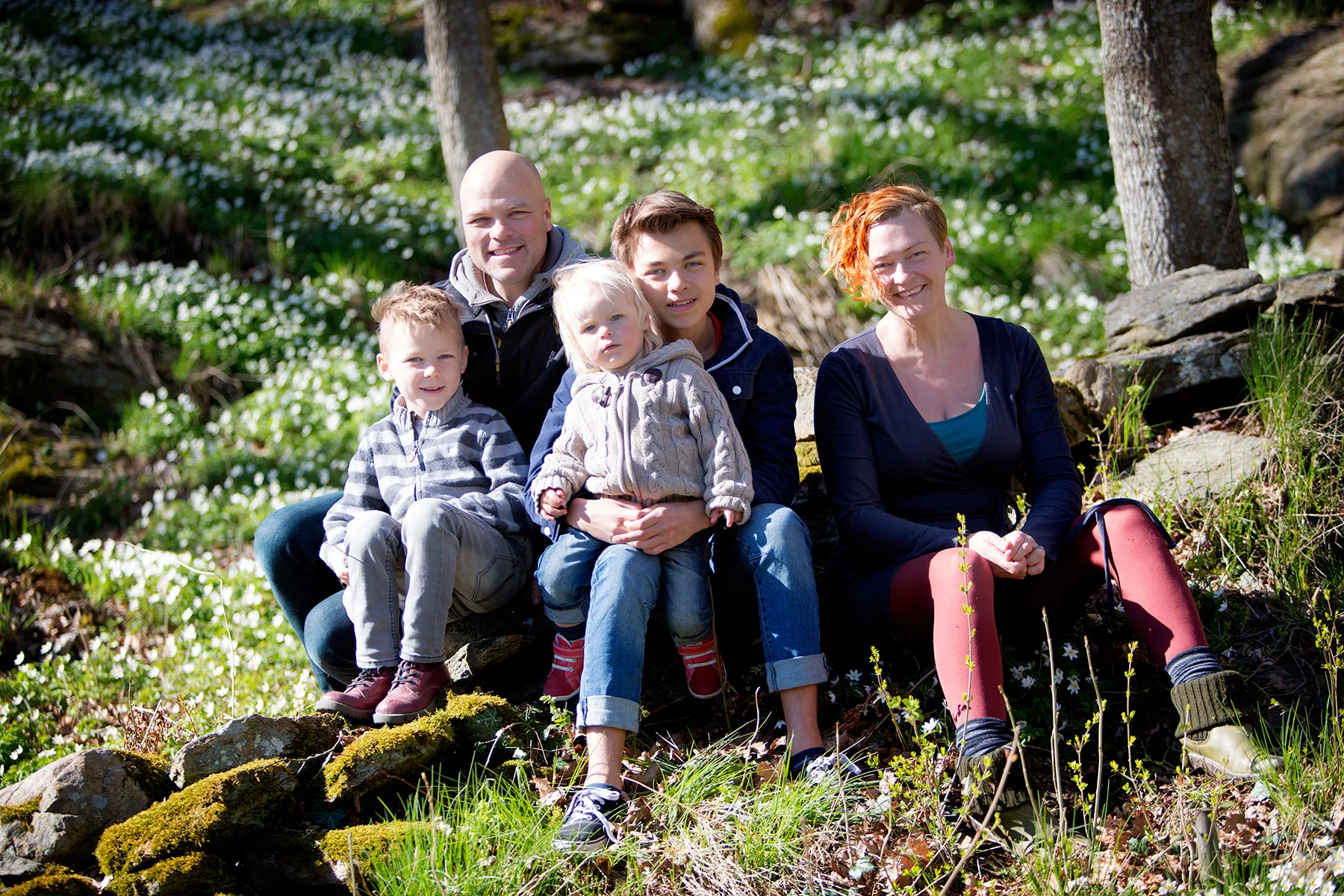 blogg-160423vitsippor4.jpg