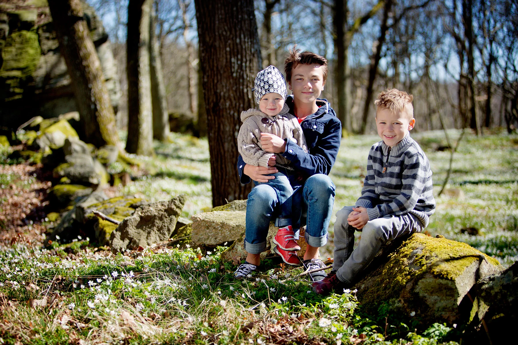 blogg-160423vitsippor2.jpg