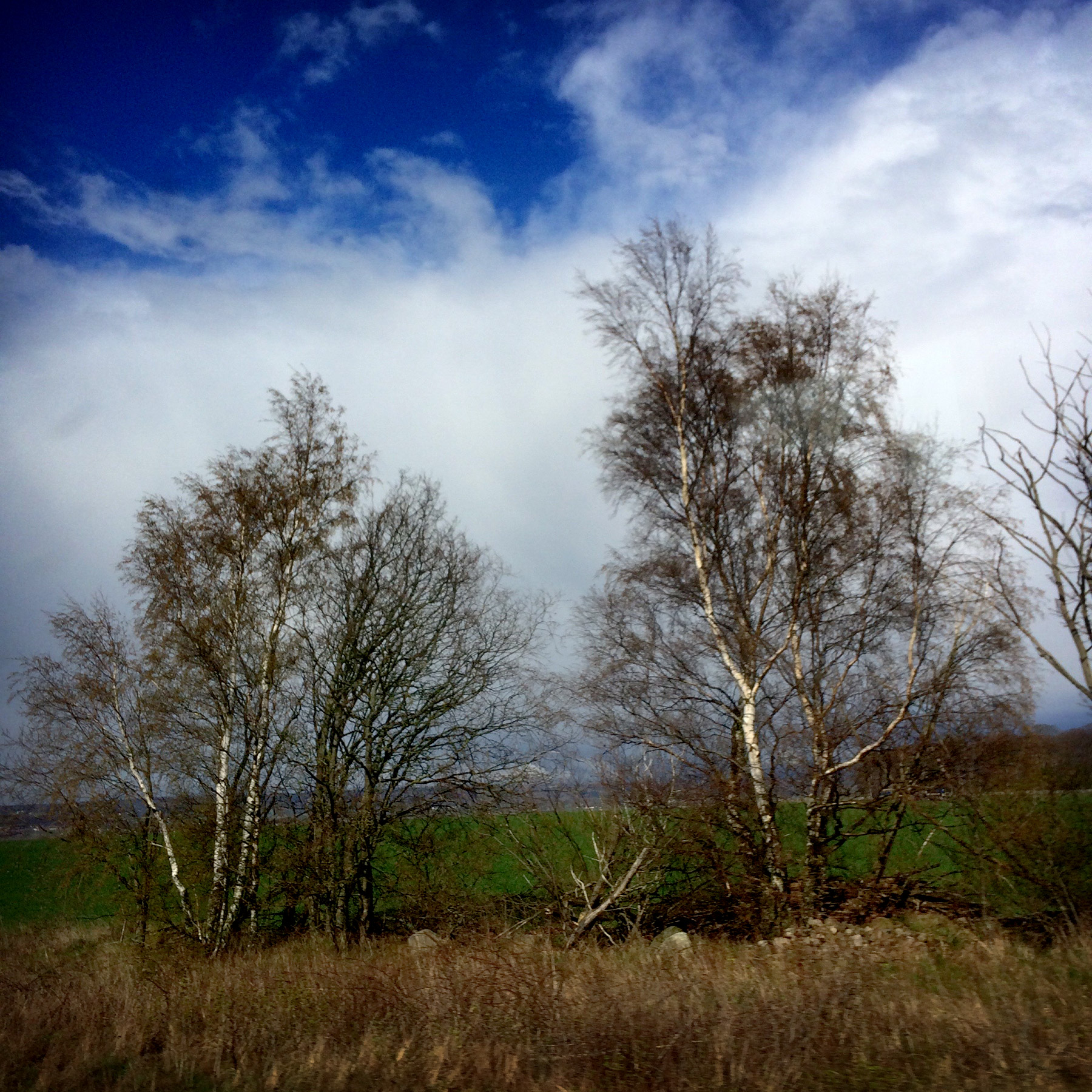 blogg-160427oresundstag6.jpg