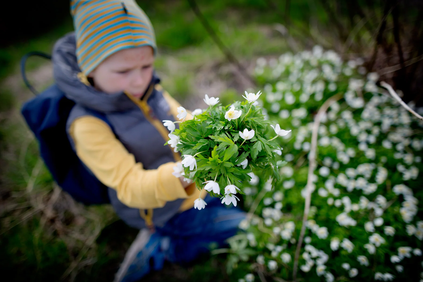 blogg-160502kyrkebacken7.jpg